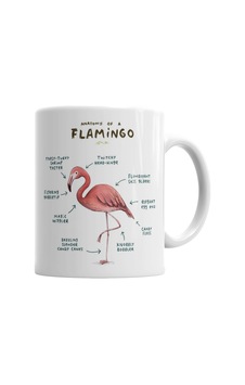 Bir Flamingo Anatomisi Kupa Bardak Porselen No32984 Karışık Bir Flamingo Anatomisi Kupa Bardak Porselen No32984 Karışık