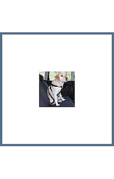 Buradabulabilirsin Köpek Emniyet Kemeri Medium 50-70 Cm Bbz Buradabulabilirsin Köpek Emniyet Kemeri Medium 50-70 Cm Bbz