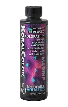 Brightwell KoralColor 250 ML (Mercan Renklendirici Element) Brightwell KoralColor 250 ML (Mercan Renklendirici Element)