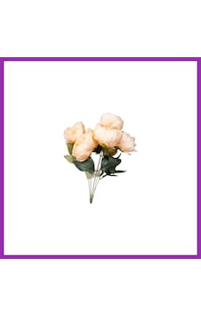 Bezos Ogc-0033 Sakayık 7 Lı Bty Çok Renkli Bezos Ogc-0033 Sakayık 7 Lı Bty Çok Renkli