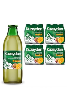 Kuzeyden Maden Suyu Tropikal 24x200 Ml Kuzeyden Maden Suyu Tropikal 24x200 Ml
