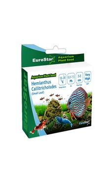 Eurostar Bitki Tohum Medium Leaf Base Blant