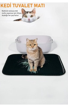 Kedi Kum Paspası - Kedi Yuvası Paspası