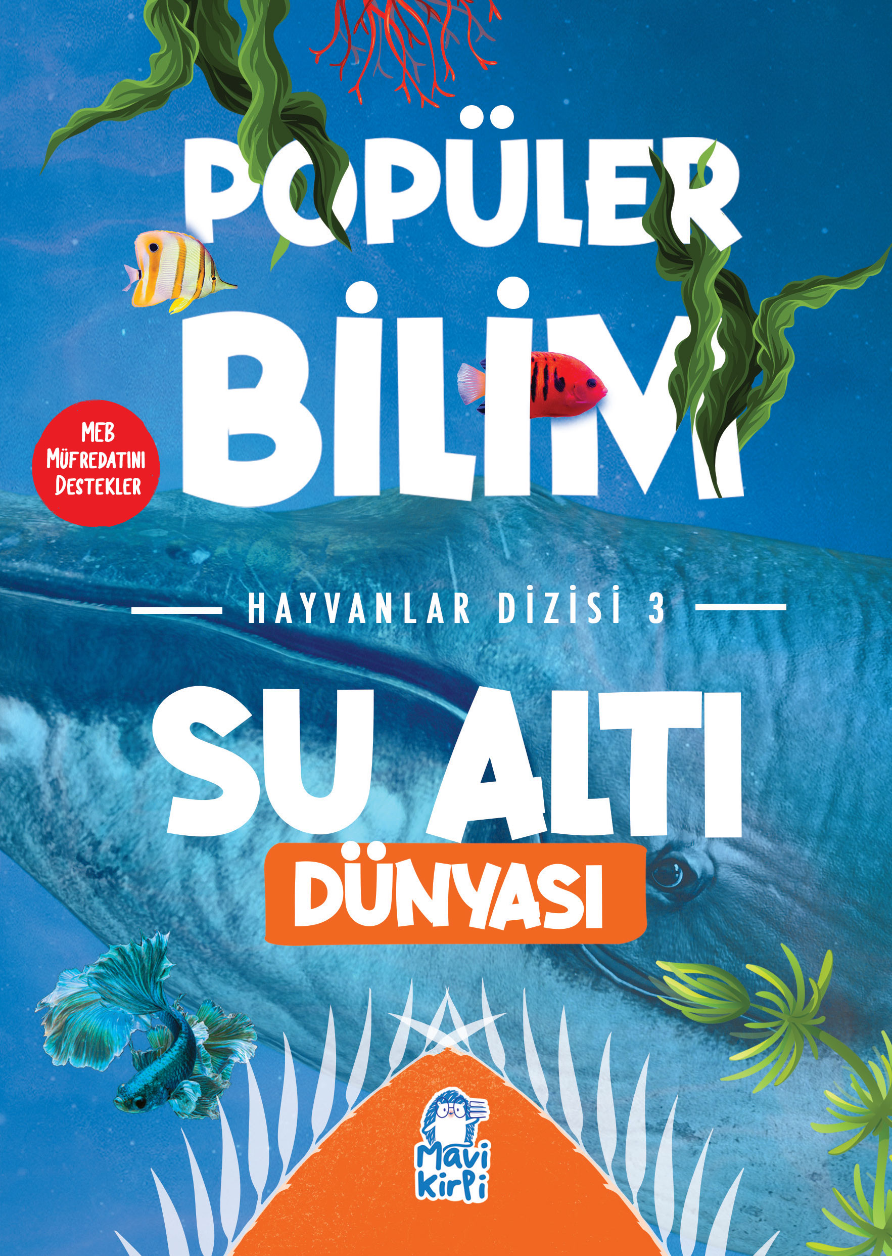 Su Altı Dünyası - Popüler Bilim Hayvanlar Dizisi 3 Kitap