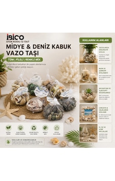 20 Adet Fileli Renkli Mix Eko Midye - Deniz Kabuk Vazo Taşı 5047 Belirtilmemiş 20 Adet Fileli Renkli Mix Eko Midye - Deniz Kabuk Vazo Taşı 5047 Belirtilmemiş