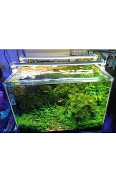 Orionled Akvaryum Led Aydınlatma Beyaz 50cm 6500k Açık Bej Orionled Akvaryum Led Aydınlatma Beyaz 50cm 6500k Açık Bej