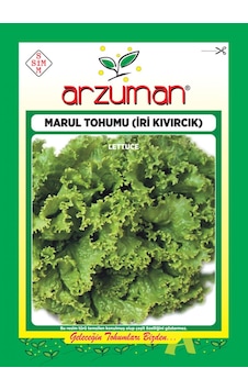 İri Kıvırcık Marul Tohumu 10 GR İri Kıvırcık Marul Tohumu 10 GR
