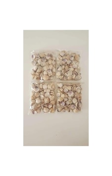 Tr Küçük Deniz Kabuğu Süs Dekoratif Akvaryum Süsleme 100 Gr Tr Küçük Deniz Kabuğu Süs Dekoratif Akvaryum Süsleme 100 Gr