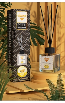 Rivola Çubuklu Koku 100 Ml Kavun Meyve Rivola Çubuklu Koku 100 Ml Kavun Meyve