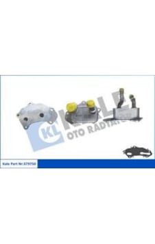 Kale 379750 Yağ Soğutucu Radyatörü Chery Omoda 5 / Tıggo 7 Pro / Tıggo 8 Pro 1.6tgdı 23- F4j161013010da-f4j16103010da - Kale 379750 Yağ Soğutucu Radyatörü Chery Omoda 5 / Tıggo 7 Pro / Tıggo 8 Pro 1.6tgdı 23- F4j161013010da-f4j16103010da -