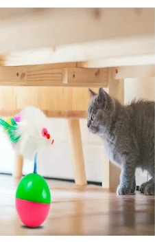 Toplu Fare Hacı Yatmaz Kedi Oyuncak