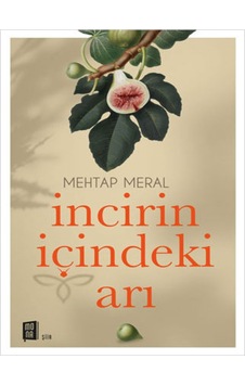 İncirin İçindeki Arı - Mehtap Aral - Mona