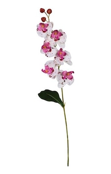 Ogc-0018 62 Cm 1 Adet Şeffaf Ogc-0018 62 Cm 1 Adet Şeffaf