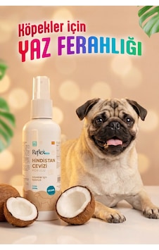 Reflex Care Hindistan Cevizi Kokulu Köpek Kolonyası 125 Ml Reflex Care Hindistan Cevizi Kokulu Köpek Kolonyası 125 Ml