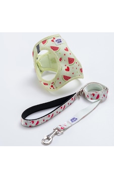 Summer Fresh Göğüs Tasması Ve Sevk Kayışı Tasma Seti Karpuzlu Kedi Köpek Göğüs Tasması Seti Yeşil Summer Fresh Göğüs Tasması Ve Sevk Kayışı Tasma Seti Karpuzlu Kedi Köpek Göğüs Tasması Seti Yeşil