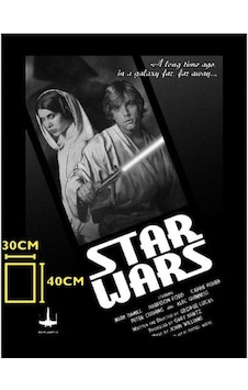 Star Wars Luke And Leia Black And White Glass Poster