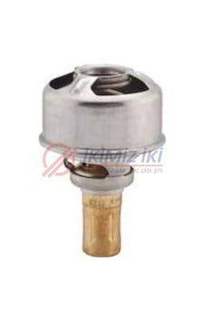 Termostat R9 R12 R19 75 C Mo0233Te 504603889 Termostat R9 R12 R19 75 C Mo0233Te 504603889