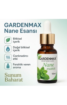 Buhurdanlık Esasnsı Nane Nane Buhurdanlık Esasnsı Nane Nane