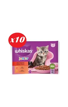 Whiskas Junior Yavru Kedi Sığırlı Tavuklu 4x85 Gr Set 10'lu Whiskas Junior Yavru Kedi Sığırlı Tavuklu 4x85 Gr Set 10'lu