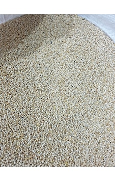 Akderepet Ak Darı 1 KG