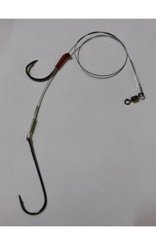 Dragon Eyes Kofana Takımı 1