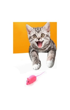 Kedi Eğitim Oyun Faresi Sesli 2 Adet Kedi Egzersiz Oyuncağı Kedi Eğitim Oyun Faresi Sesli 2 Adet Kedi Egzersiz Oyuncağı