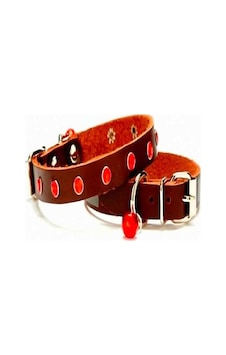 Doggie Nazar Boncuklu Kedi ve Yavru Köpek Tasması Kahverengi 1.0x Kahverengi Doggie Nazar Boncuklu Kedi ve Yavru Köpek Tasması Kahverengi 1.0x Kahverengi