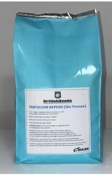 Trifolium Repens - Süs Yoncası Çim Tohumu 500 Gram 1 Paket Trifolium Repens - Süs Yoncası Çim Tohumu 500 Gram 1 Paket