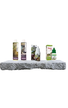 Purecanpati Kaplumbağa Tam Bakım Seti Tor-axsol Vitamin + Deepfix Kabuk Koruyucu + Su Düzenleyici Purecanpati Kaplumbağa Tam Bakım Seti Tor-axsol Vitamin + Deepfix Kabuk Koruyucu + Su Düzenleyici