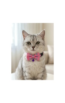 Papyonlu Kedi Boyun Tasması 3 Lü Set Ayarlanabilir Papyon Fiyonk Zilli Pembe Papyonlu Kedi Boyun Tasması 3 Lü Set Ayarlanabilir Papyon Fiyonk Zilli Pembe