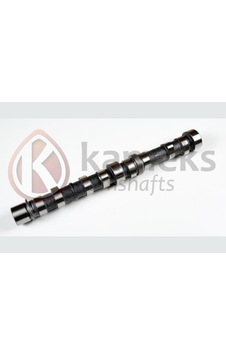 Eksantrik - 230 - Mili Albea-doblo-palıo-astra-corsa 1.3 Mtj - Dpmıx-hb - 1.3cdtı Dokum Eksantrik Mili Eksantrik - 230 - Mili Albea-doblo-palıo-astra-corsa 1.3 Mtj - Dpmıx-hb - 1.3cdtı Dokum Eksantrik Mili