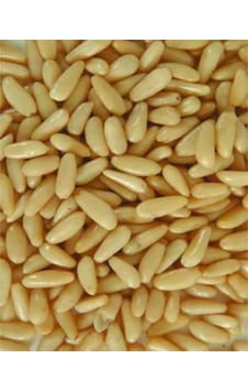 Lokman Aktar Dolmalık İşlenmiş Yer Fıstığı 100 G Lokman Aktar Dolmalık İşlenmiş Yer Fıstığı 100 G