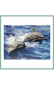 Bşkvirgo 3 Boyutlu Resim Sevimli Yunuslar İkili Yunus Resmi Tablosu 30x40 Cm Bsk2026 Bşkvirgo 3 Boyutlu Resim Sevimli Yunuslar İkili Yunus Resmi Tablosu 30x40 Cm Bsk2026