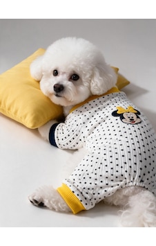 Spotty Sunny Minny Köpek Uyku Seti Siyah Beyaz Puantiyeli Penye Köpek Tulumu Ve Mini Yastık Spotty Sunny Minny Köpek Uyku Seti Siyah Beyaz Puantiyeli Penye Köpek Tulumu Ve Mini Yastık