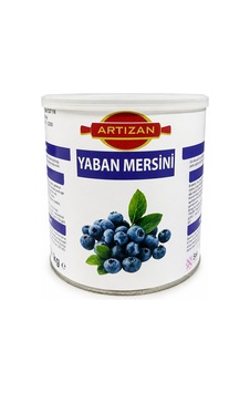 Artızan Yabanmersinli Dolgu 2,7 Kg