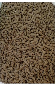 5 Kg Buza Büyüte Yemi Pelet Yem Buza Başlangıç Yemi Cp 5 Kg Buza Büyüte Yemi Pelet Yem Buza Başlangıç Yemi Cp