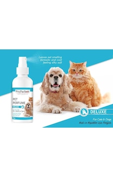 Pro Perfeck Kedi Köpek Lüks Parfüm 100 ML Pro Perfeck Kedi Köpek Lüks Parfüm 100 ML
