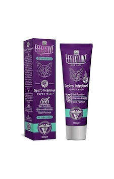 Delibon Effective Gastro   Kedi Malt Macunu 100 G