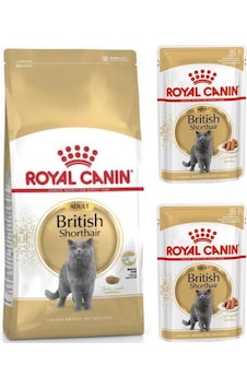 Royal Canin British Shorthair Kedi Maması 2 KG + 2 Adet Pouch