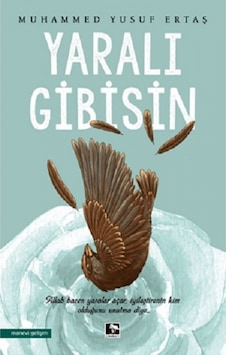 Yaralı Gibisin - Muhammed Yusuf Ertaş - Çınaraltı Yayınları Yaralı Gibisin - Muhammed Yusuf Ertaş - Çınaraltı Yayınları