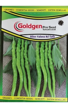 Goldgen Pro Seed Biber Yalova Kıl Tatlı Goldgen Pro Seed Biber Yalova Kıl Tatlı