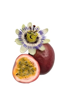 Çarkıfelek Tohumu ,passiflora Meyve Tohumu