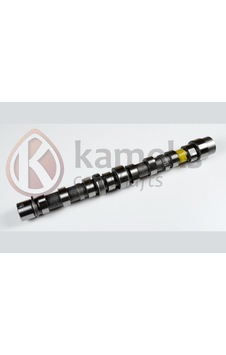 Eksantrik - 623 - Mili Bıpper 10- Nemo 10-doblo 10- Egea 16- Punto 12- 500 L 12- 95bg 1.3 Jtd - Dpmıx-hb - Euro5 Dök Eksantrik Mili Eksantrik - 623 - Mili Bıpper 10- Nemo 10-doblo 10- Egea 16- Punto 12- 500 L 12- 95bg 1.3 Jtd - Dpmıx-hb - Euro5 Dök Eksantrik Mili