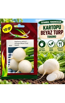 Kartopu Beyaz Turp Tohumu 10 Gr Kartopu Beyaz Turp Tohumu 10 Gr