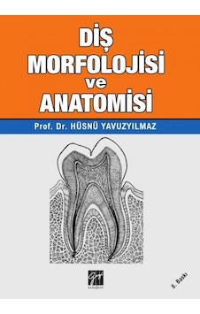 Diş Morfolojisi Ve Anatomisi Hüsnü Yavuzyılmaz 8.Baskı Diş Morfolojisi Ve Anatomisi Hüsnü Yavuzyılmaz 8.Baskı