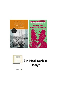 İstanbul Un Sokak Köpekleri + Tuhaf Bir Yılbaşı Öyküsü + Bir Noel Şarkısı İstanbul Un Sokak Köpekleri + Tuhaf Bir Yılbaşı Öyküsü + Bir Noel Şarkısı