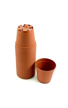 Ucuzzavm Kaktüs & Sukulent Üretim Saksı 5,5 Cm 100 Adet