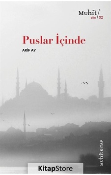Puslar İçinde / Arif Ay