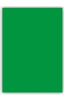 Bigpoint Fon Kartonu 50x70cm 120 Gram Koyu Yeşil 100'lü Paket Bigpoint Fon Kartonu 50x70cm 120 Gram Koyu Yeşil 100'lü Paket