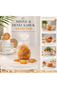 Poşetli Renkli Mix Midye - Deniz Kabuk Vazo Taşı Çok Renkli Poşetli Renkli Mix Midye - Deniz Kabuk Vazo Taşı Çok Renkli